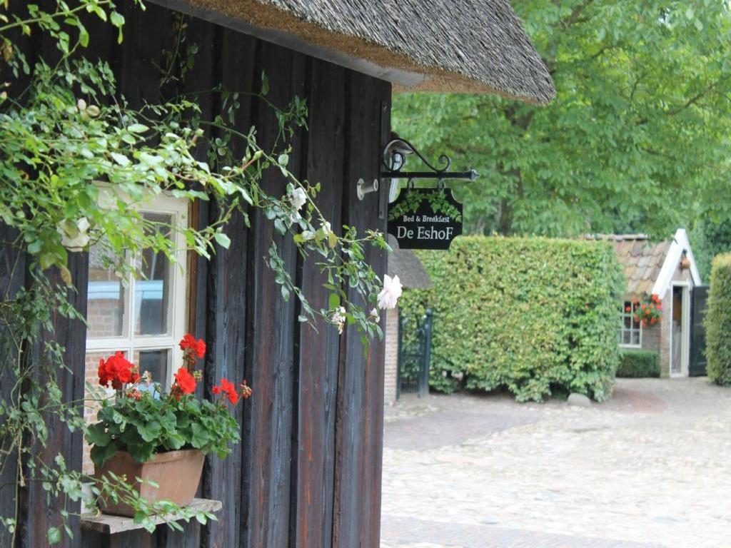 Hoeve De Eshof Norg Exterior photo